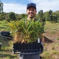 Annual Pinnacle Team Events Tree Planting Sustainability